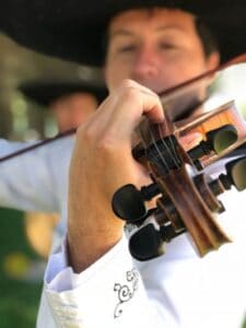 Serenatas En Santiago A Domicilio